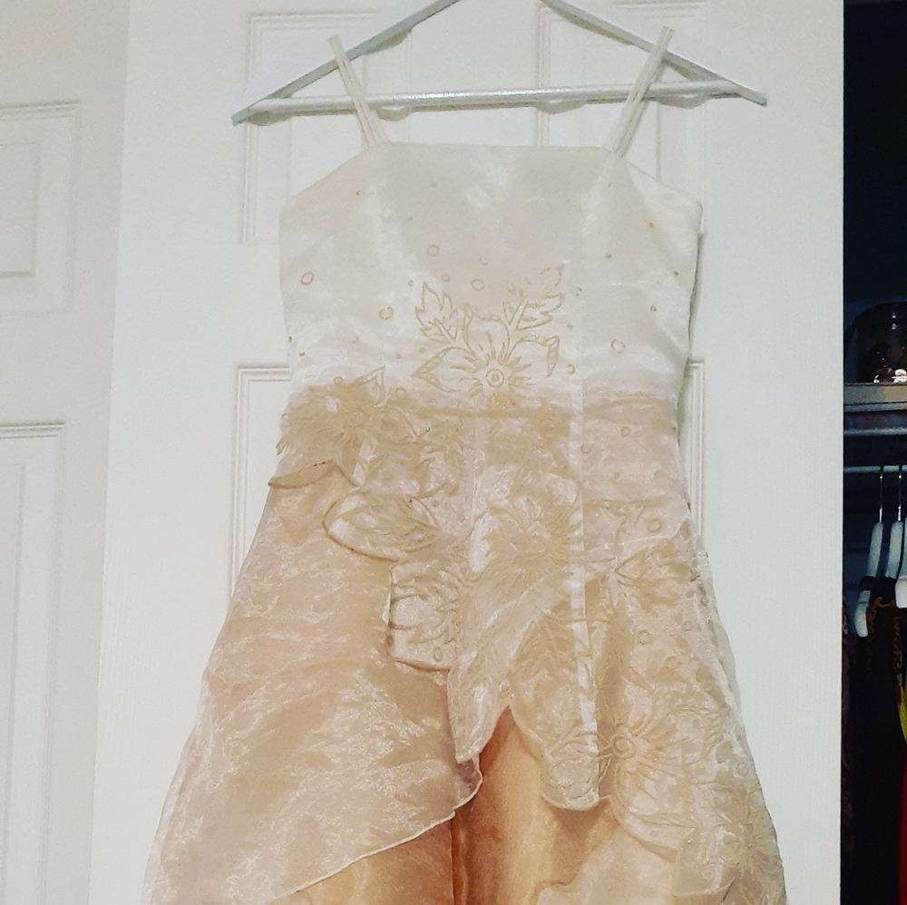 Girl Dress